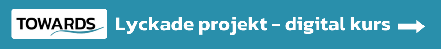 Lyckade projekt